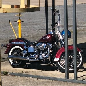 Meet your Posher, Casey